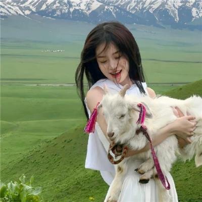 冰球坏小子2 在线观看